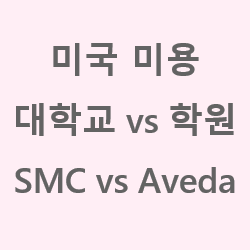 캘리포니아 산타모니카 텍사스 오스틴