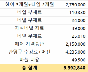 korean cosmetology academy cost